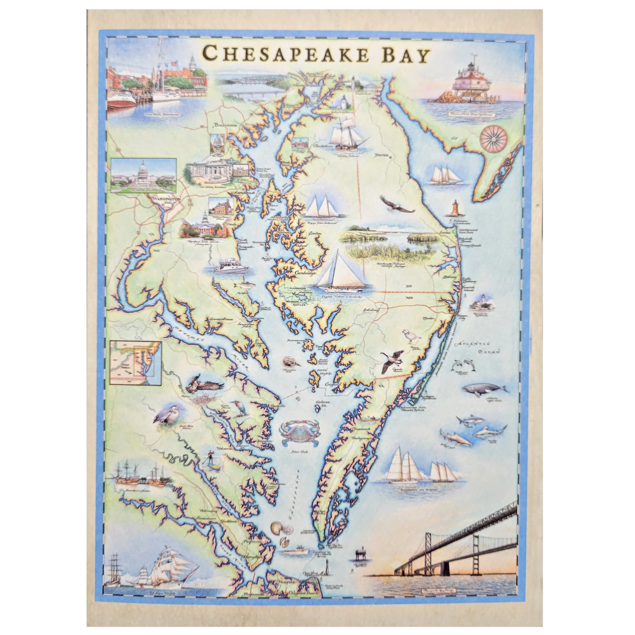 Chesapeake Bay Map Note Card