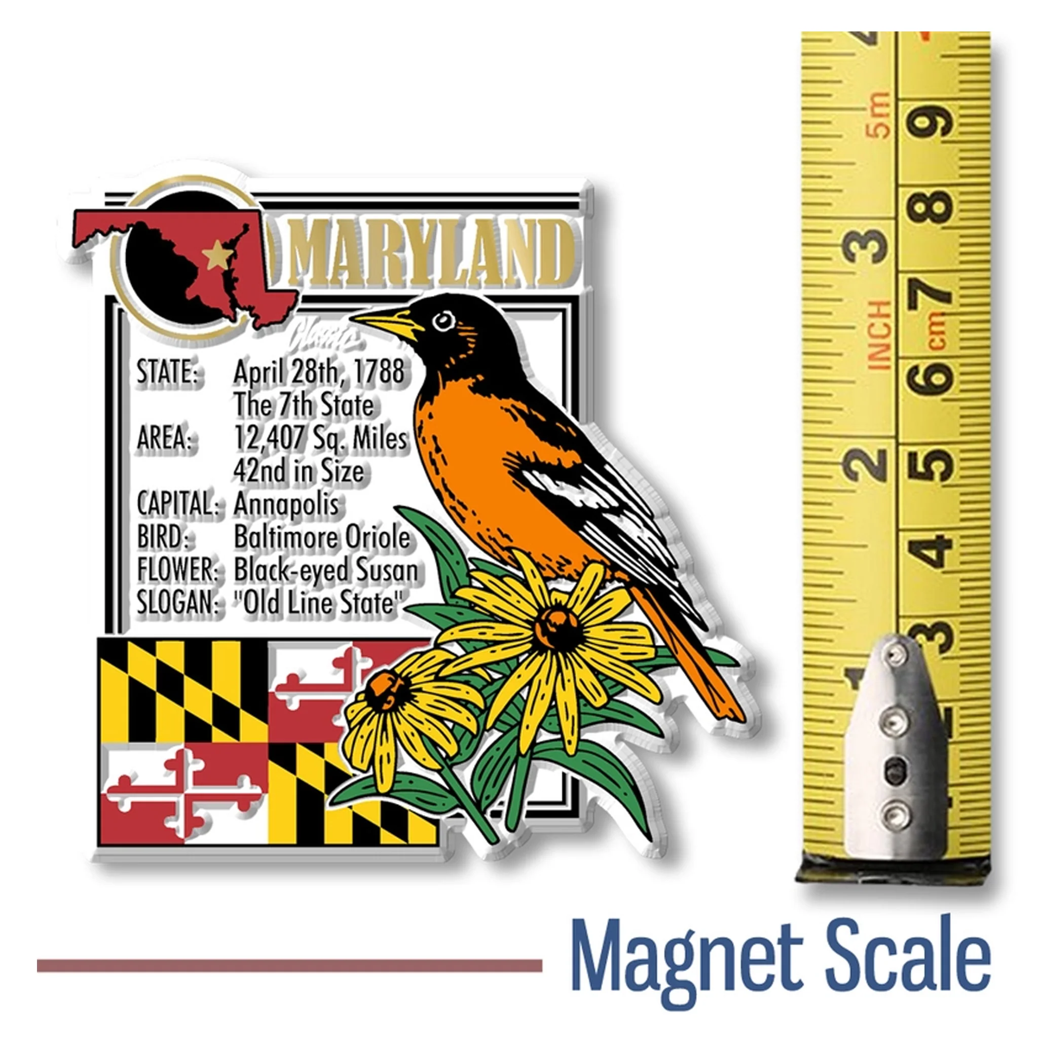 Maryland State Montage Magnet - Image 2